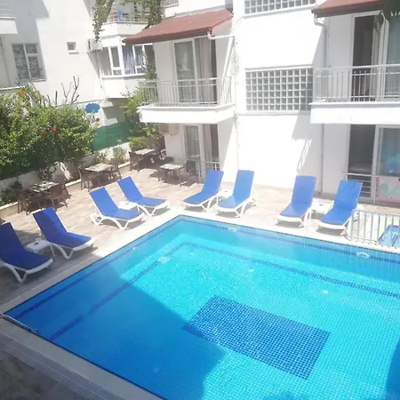 Honor A シダ